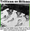 Trillizas. 04-1964.